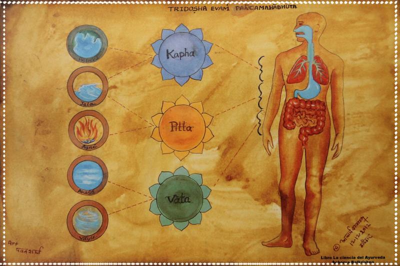 Členství AJURVÉDSKÁ TYPOLOGIE - základní vyhodnocení Dóša - Vata, Pitta, Kapha